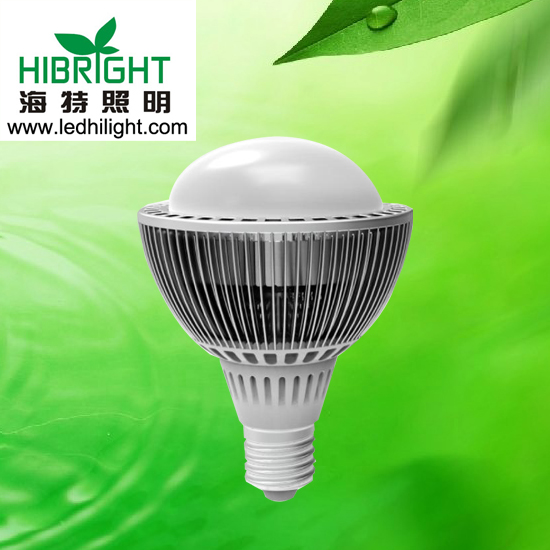 LED PAR30  9w  射灯