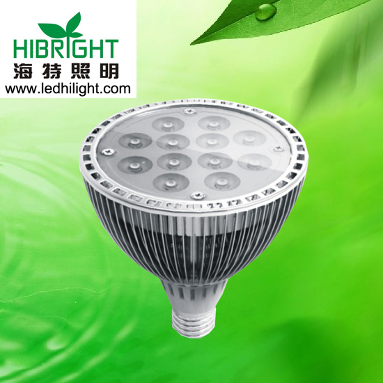 LED PAR38  12w  射灯