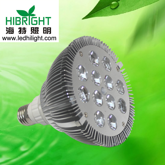 LED PAR38  12w  射灯